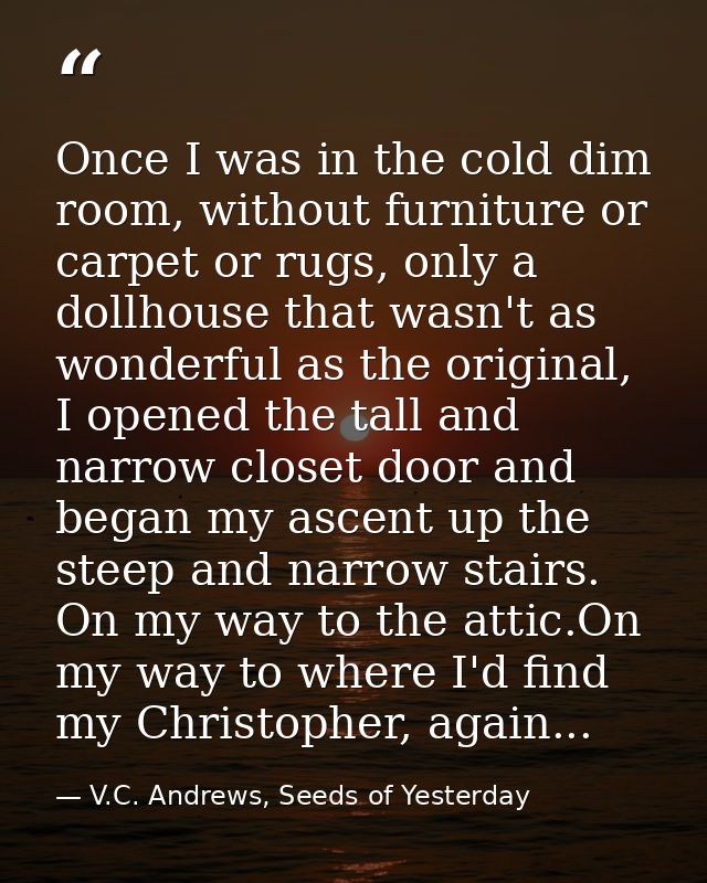 Once I was in the cold dim room, without furniture or carpet or rugs, only a dollhouse that wasn't as wonderful as the o — V.C. Andrews, Seeds of Yesterday