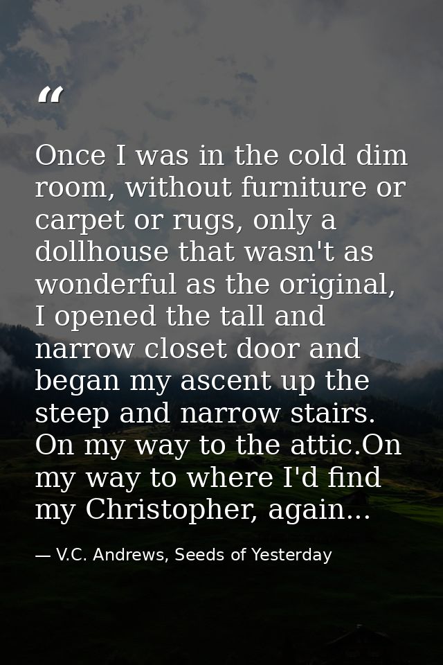 Once I was in the cold dim room, without furniture or carpet or rugs, only a dollhouse that wasn't as wonderful as the o — V.C. Andrews, Seeds of Yesterday