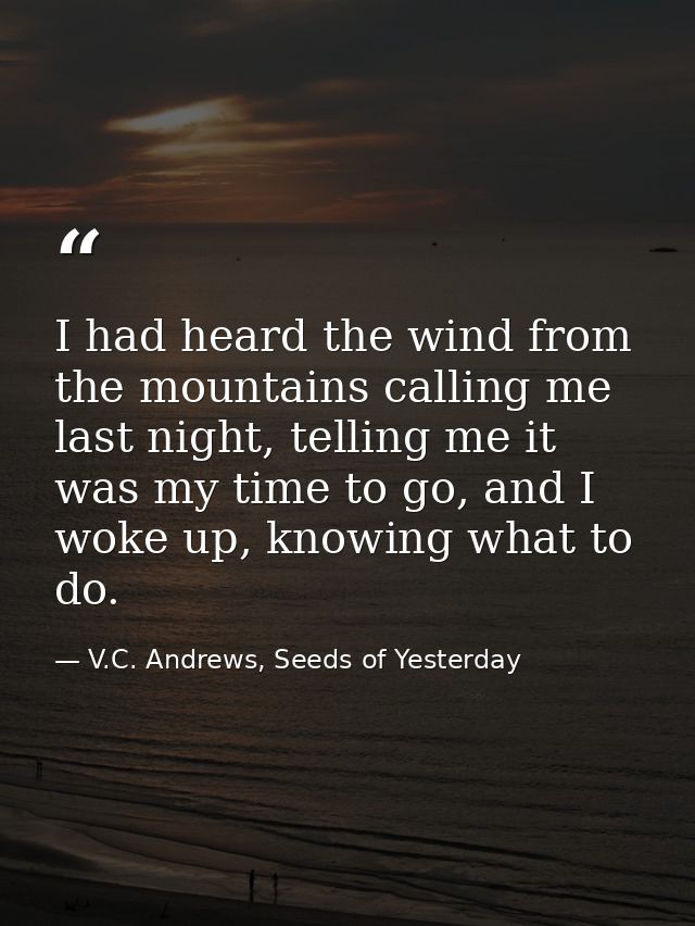 I had heard the wind from the mountains calling me last night, telling me it was my time to go, and I woke up, knowing w — V.C. Andrews, Seeds of Yesterday