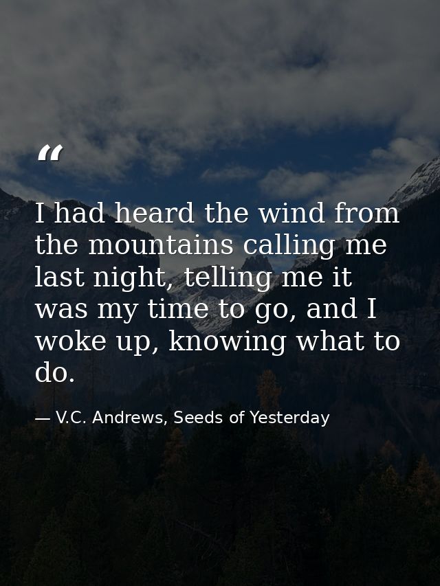 I had heard the wind from the mountains calling me last night, telling me it was my time to go, and I woke up, knowing w — V.C. Andrews, Seeds of Yesterday
