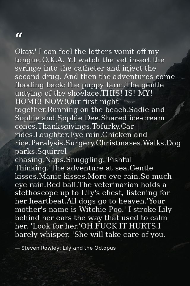 Okay.' I can feel the letters vomit off my tongue.O.K.A. Y.I watch the vet insert the syringe into the catheter and inje — Steven Rowley, Lily and the Octopus