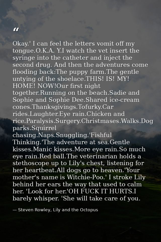 Okay.' I can feel the letters vomit off my tongue.O.K.A. Y.I watch the vet insert the syringe into the catheter and inje — Steven Rowley, Lily and the Octopus