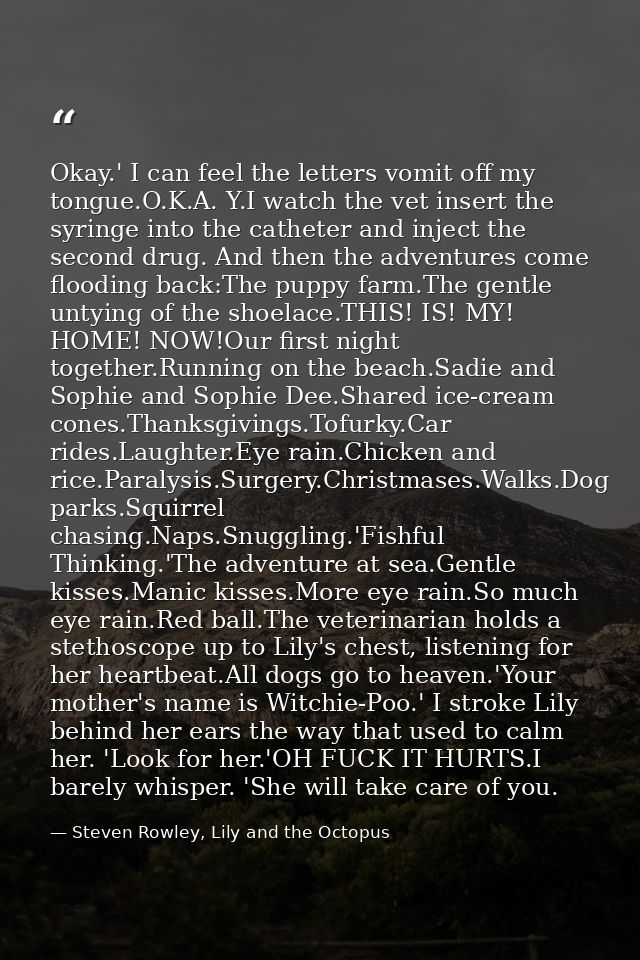 Okay.' I can feel the letters vomit off my tongue.O.K.A. Y.I watch the vet insert the syringe into the catheter and inje — Steven Rowley, Lily and the Octopus