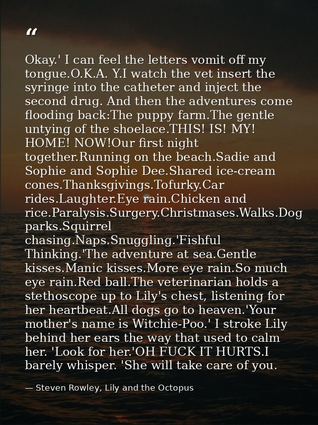 Okay.' I can feel the letters vomit off my tongue.O.K.A. Y.I watch the vet insert the syringe into the catheter and inje — Steven Rowley, Lily and the Octopus