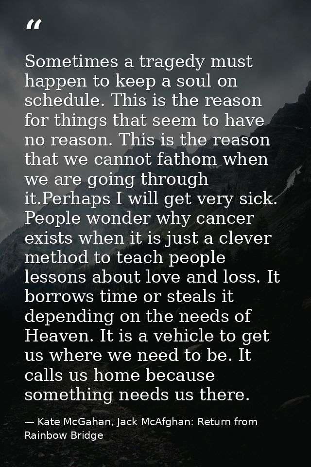 Sometimes a tragedy must happen to keep a soul on schedule. This is the reason for things that seem to have no reason. T — Kate McGahan, Jack McAfghan: Return from Rainbow Bridge