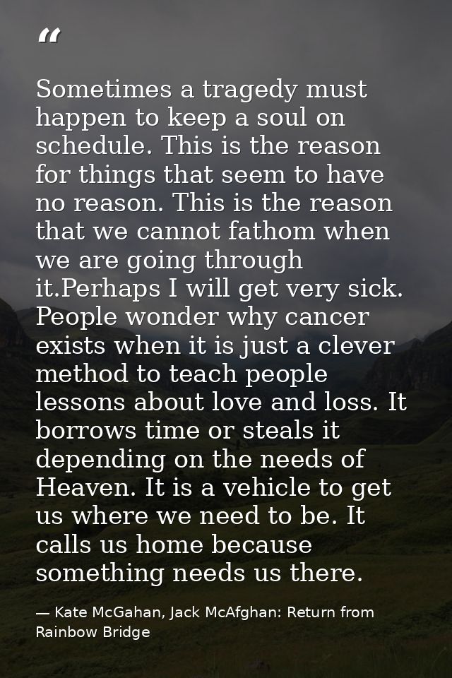 Sometimes a tragedy must happen to keep a soul on schedule. This is the reason for things that seem to have no reason. T — Kate McGahan, Jack McAfghan: Return from Rainbow Bridge