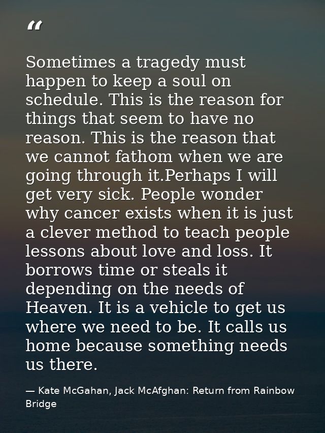 Sometimes a tragedy must happen to keep a soul on schedule. This is the reason for things that seem to have no reason. T — Kate McGahan, Jack McAfghan: Return from Rainbow Bridge