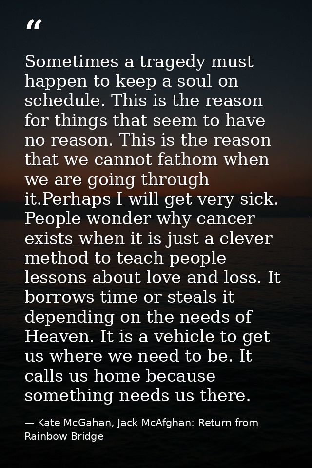 Sometimes a tragedy must happen to keep a soul on schedule. This is the reason for things that seem to have no reason. T — Kate McGahan, Jack McAfghan: Return from Rainbow Bridge