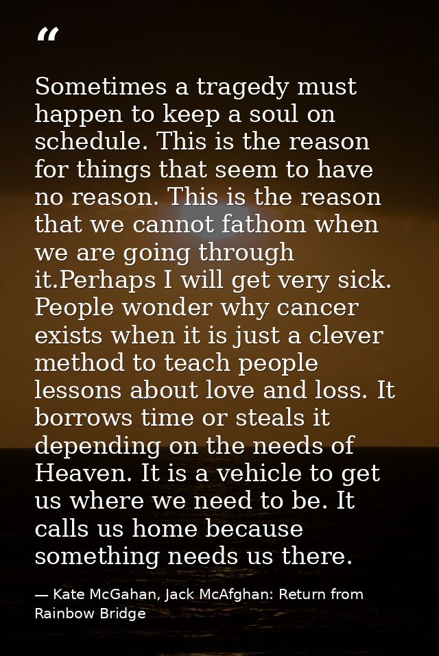 Sometimes a tragedy must happen to keep a soul on schedule. This is the reason for things that seem to have no reason. T — Kate McGahan, Jack McAfghan: Return from Rainbow Bridge