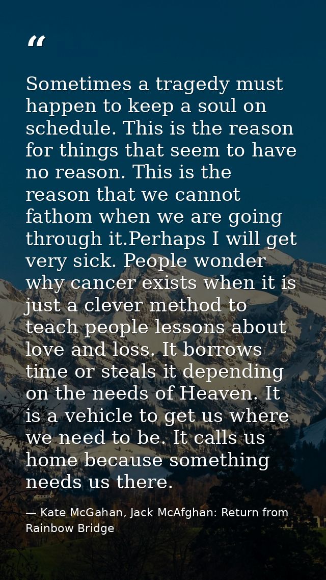 Sometimes a tragedy must happen to keep a soul on schedule. This is the reason for things that seem to have no reason. T — Kate McGahan, Jack McAfghan: Return from Rainbow Bridge