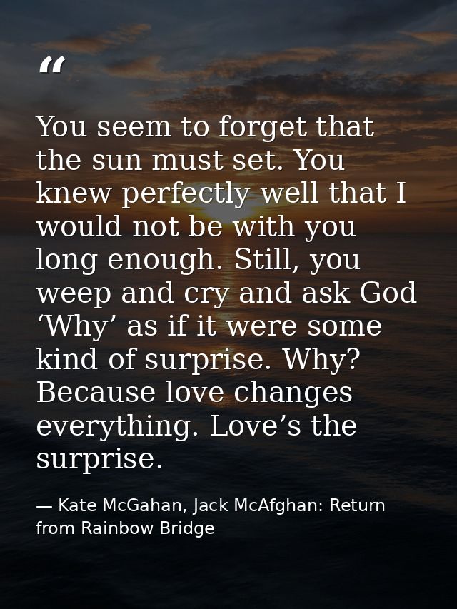 You seem to forget that the sun must set. You knew perfectly well that I would not be with you long enough. Still, you w — Kate McGahan, Jack McAfghan: Return from Rainbow Bridge