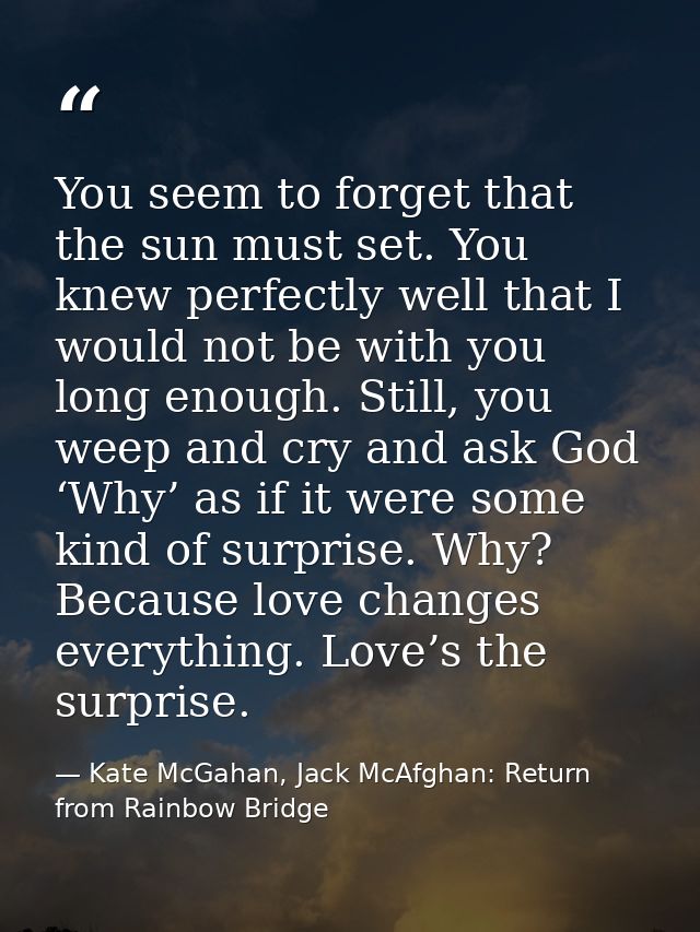 You seem to forget that the sun must set. You knew perfectly well that I would not be with you long enough. Still, you w — Kate McGahan, Jack McAfghan: Return from Rainbow Bridge