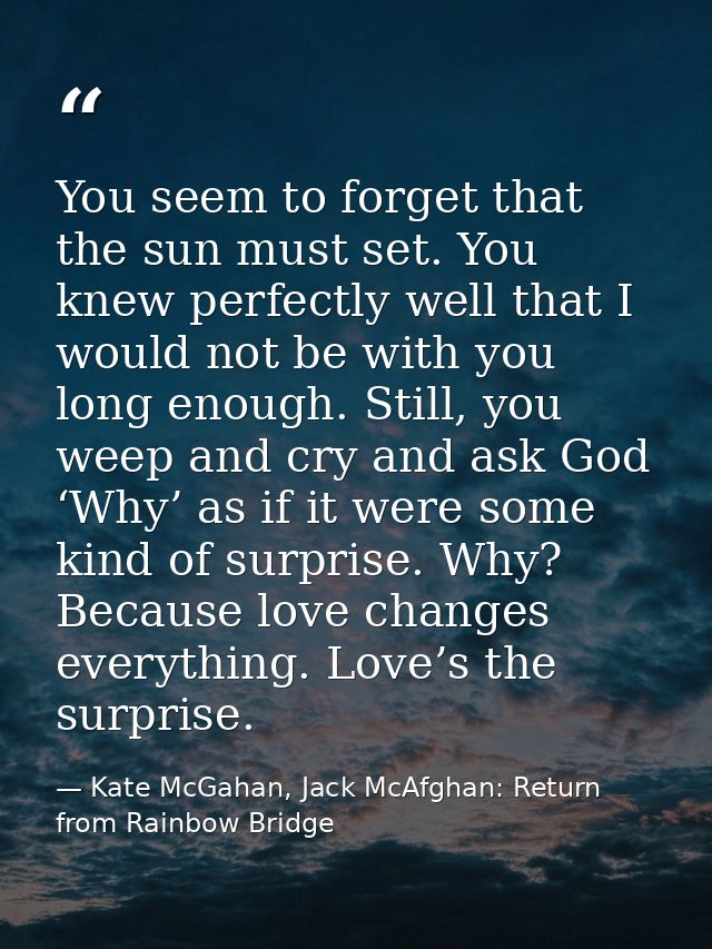 You seem to forget that the sun must set. You knew perfectly well that I would not be with you long enough. Still, you w — Kate McGahan, Jack McAfghan: Return from Rainbow Bridge