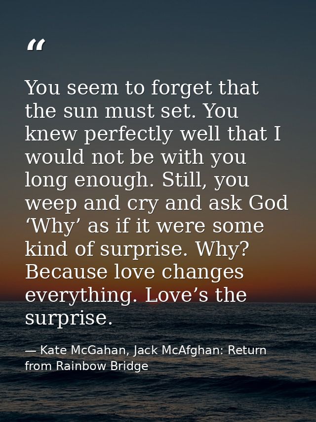 You seem to forget that the sun must set. You knew perfectly well that I would not be with you long enough. Still, you w — Kate McGahan, Jack McAfghan: Return from Rainbow Bridge