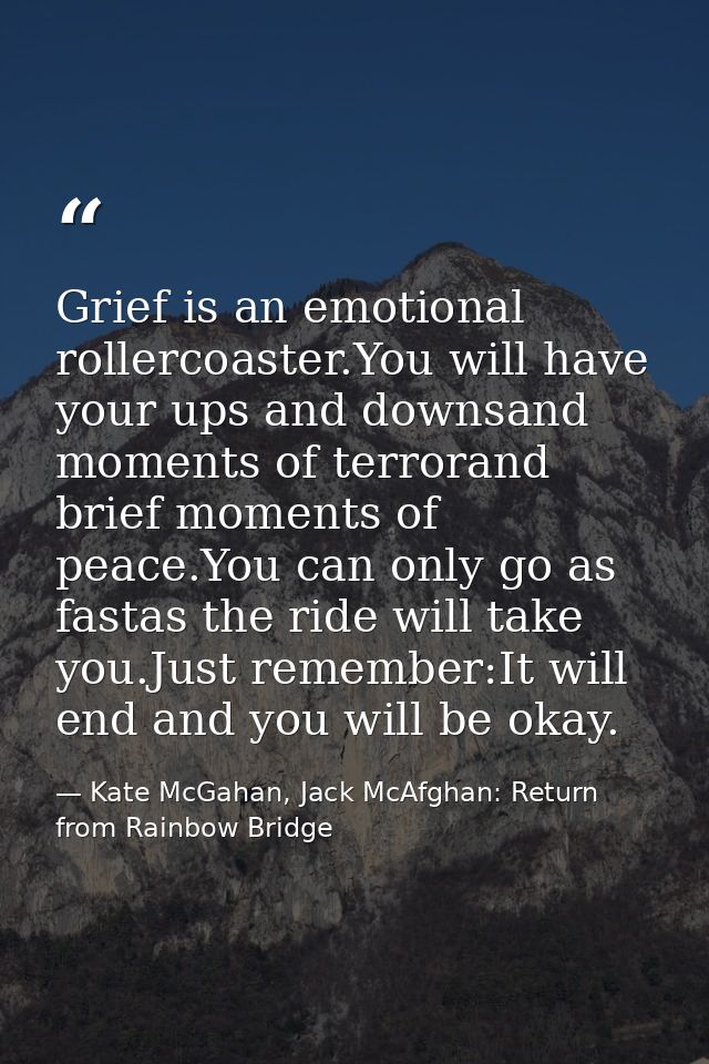 Grief is an emotional rollercoaster.You will have your ups and downsand moments of terrorand brief moments of peace.You  — Kate McGahan, Jack McAfghan: Return from Rainbow Bridge