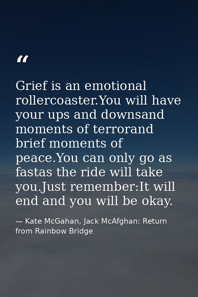 Grief is an emotional rollercoaster.You will have your ups and downsand moments of terrorand brief moments of peace.You  — Kate McGahan, Jack McAfghan: Return from Rainbow Bridge