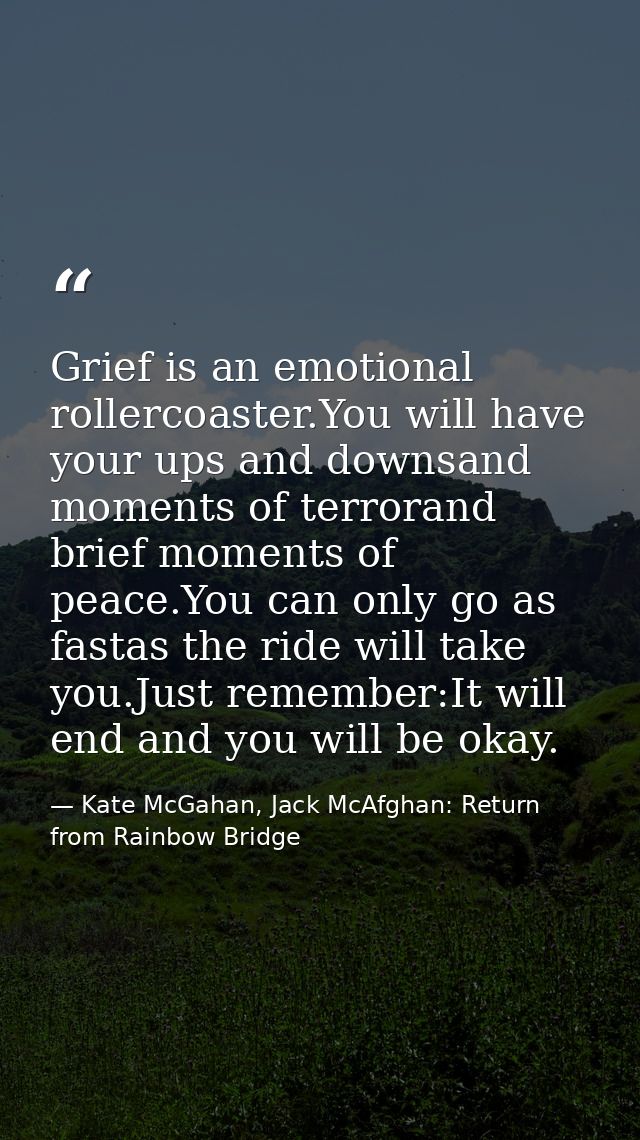 Grief is an emotional rollercoaster.You will have your ups and downsand moments of terrorand brief moments of peace.You  — Kate McGahan, Jack McAfghan: Return from Rainbow Bridge