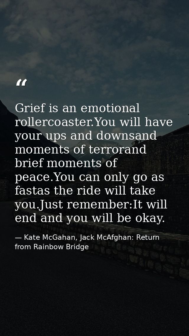 Grief is an emotional rollercoaster.You will have your ups and downsand moments of terrorand brief moments of peace.You  — Kate McGahan, Jack McAfghan: Return from Rainbow Bridge