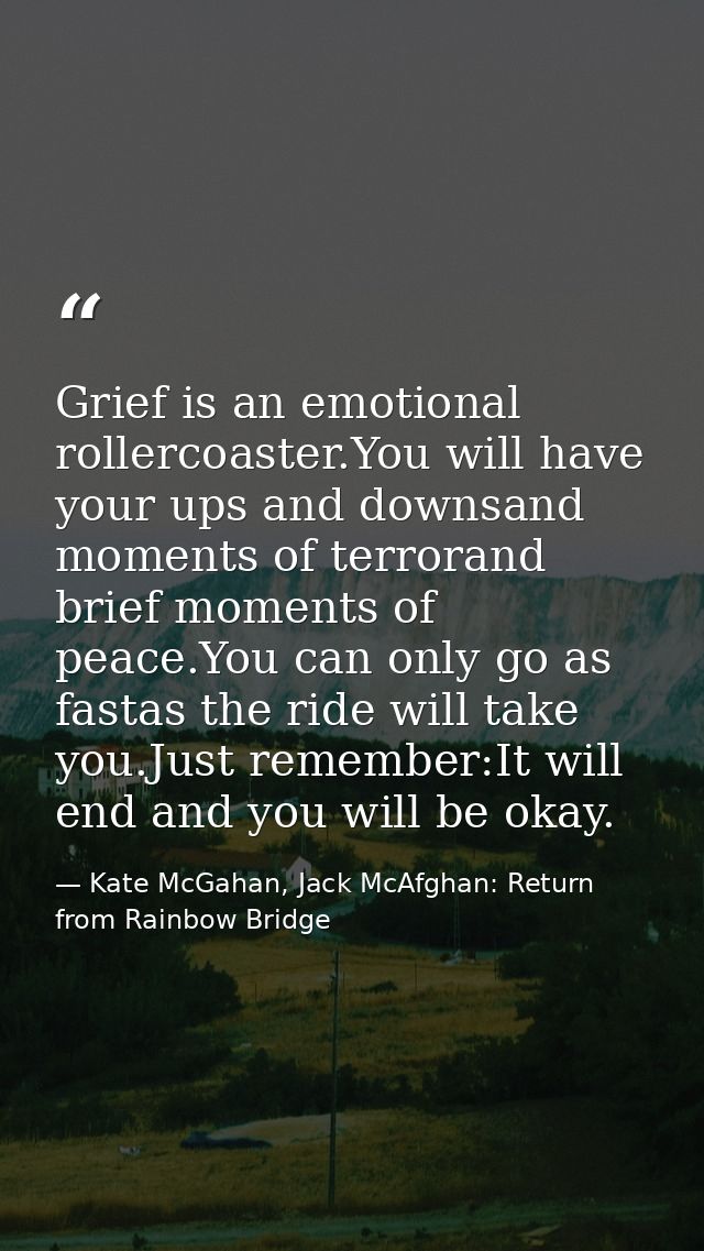 Grief is an emotional rollercoaster.You will have your ups and downsand moments of terrorand brief moments of peace.You  — Kate McGahan, Jack McAfghan: Return from Rainbow Bridge