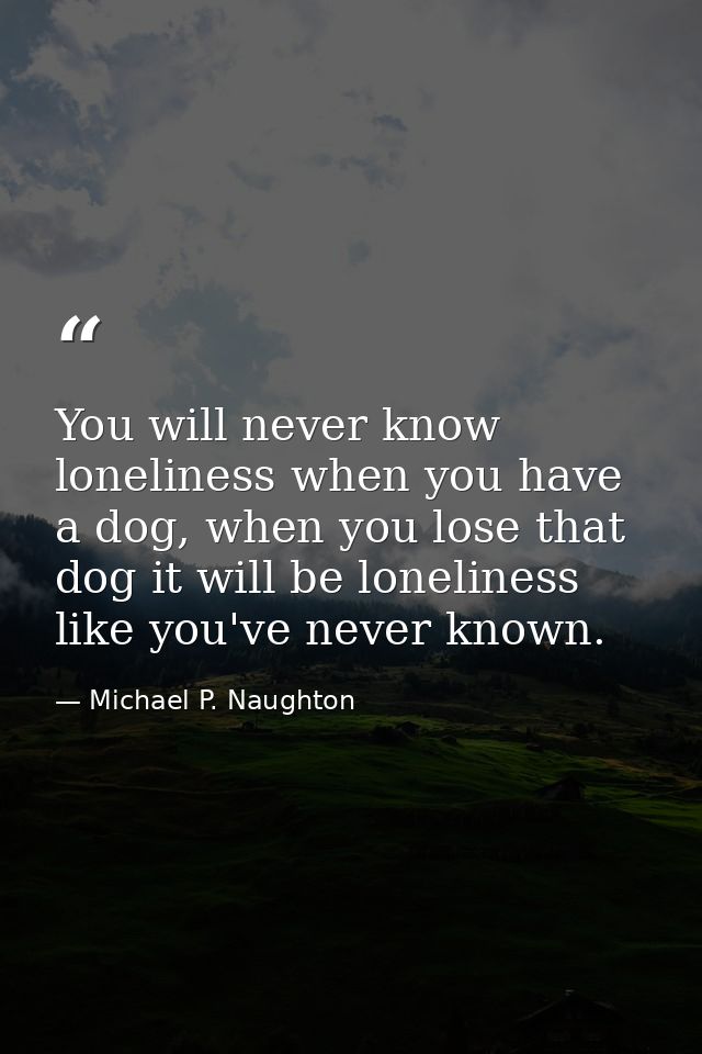 You will never know loneliness when you have a dog, when you lose that dog it will be loneliness like you've never known — Michael P. Naughton