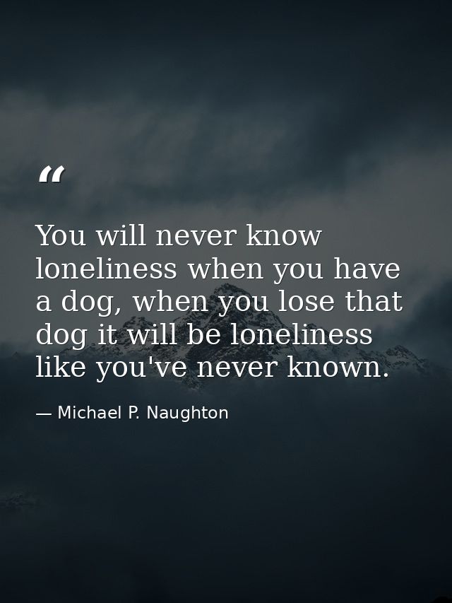 You will never know loneliness when you have a dog, when you lose that dog it will be loneliness like you've never known — Michael P. Naughton