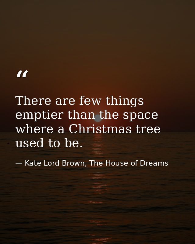 There are few things emptier than the space where a Christmas tree used to be. — Kate Lord Brown, The House of Dreams