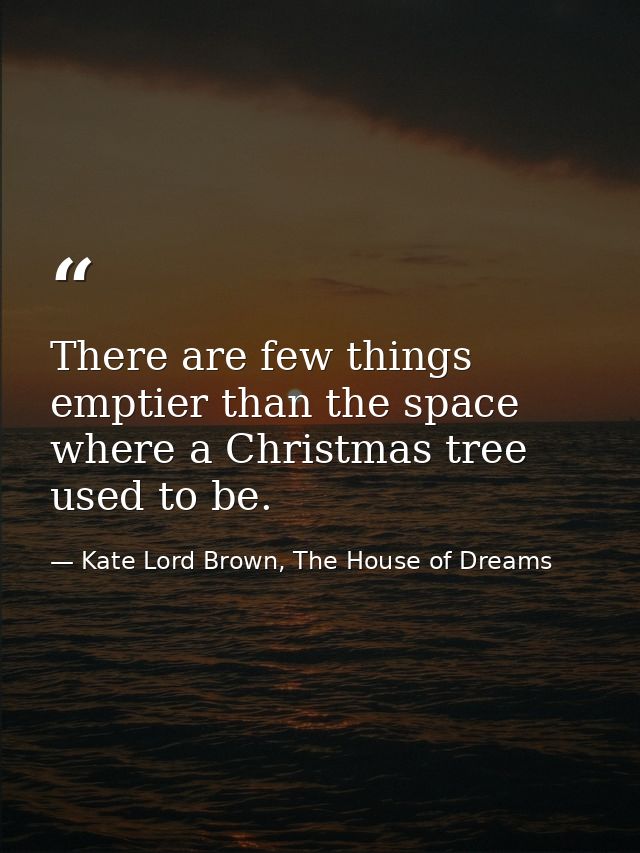 There are few things emptier than the space where a Christmas tree used to be. — Kate Lord Brown, The House of Dreams