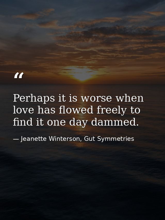 Perhaps it is worse when love has flowed freely to find it one day dammed. — Jeanette Winterson, Gut Symmetries