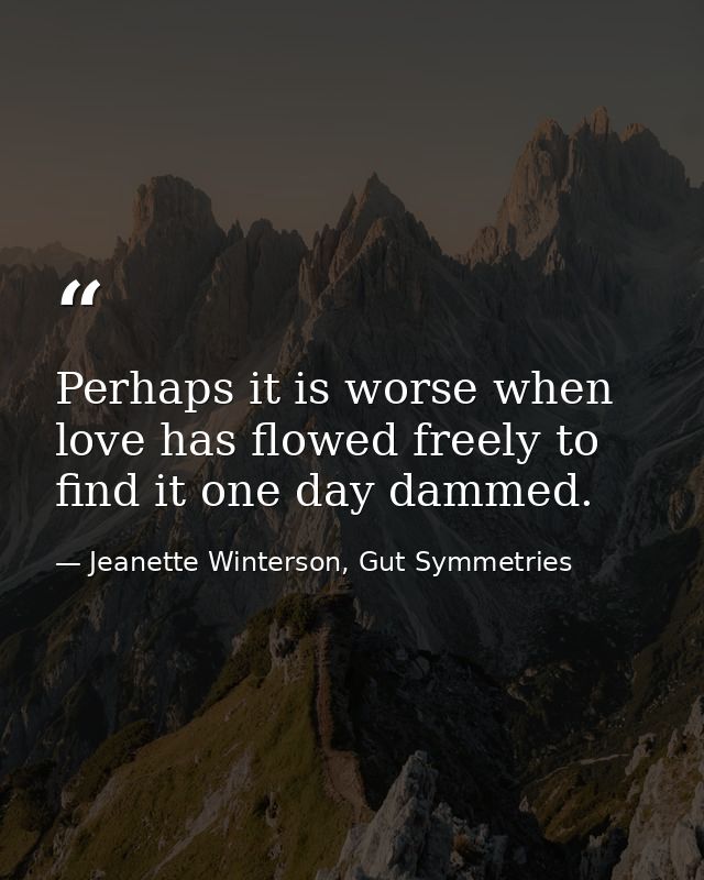 Perhaps it is worse when love has flowed freely to find it one day dammed. — Jeanette Winterson, Gut Symmetries