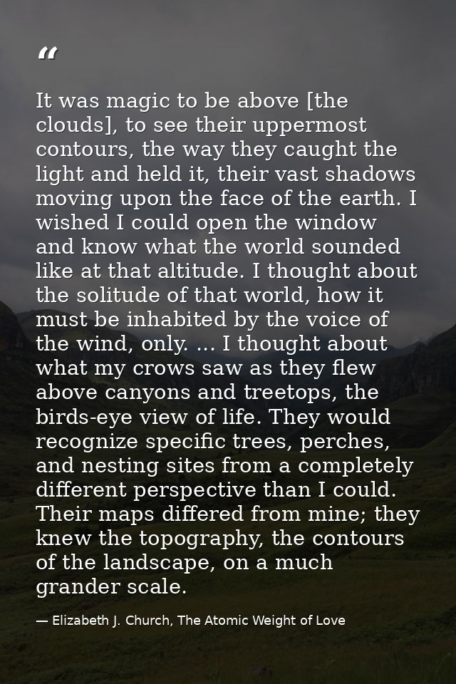 It was magic to be above [the clouds], to see their uppermost contours, the way they caught the light and held it, their — Elizabeth J. Church, The Atomic Weight of Love