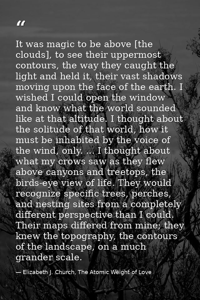 It was magic to be above [the clouds], to see their uppermost contours, the way they caught the light and held it, their — Elizabeth J. Church, The Atomic Weight of Love