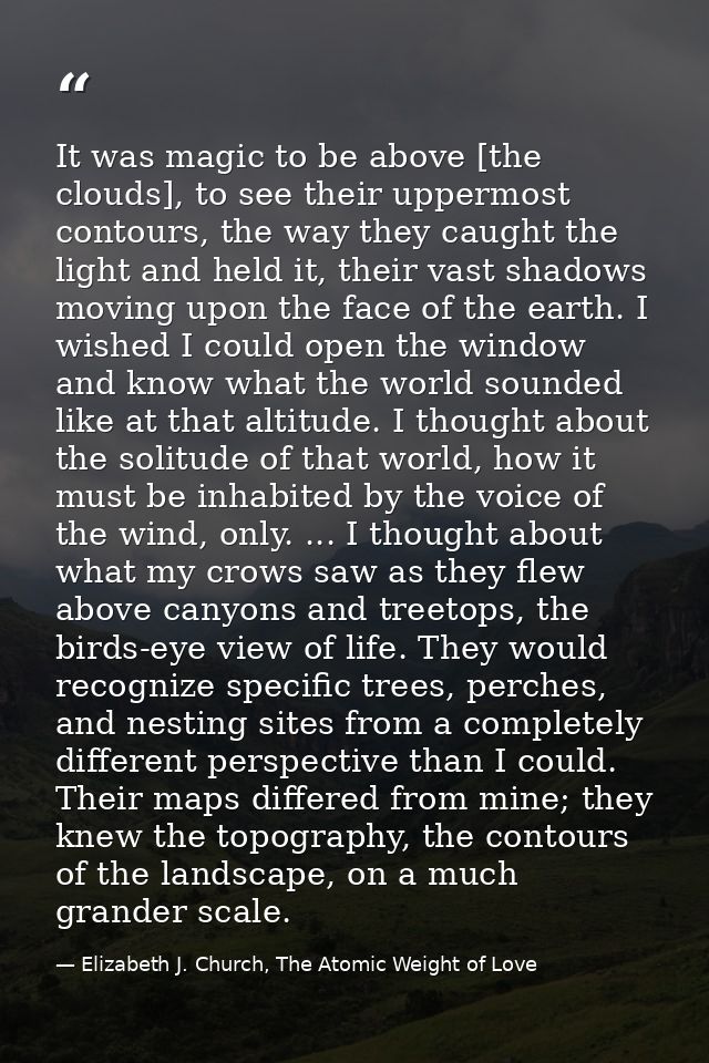 It was magic to be above [the clouds], to see their uppermost contours, the way they caught the light and held it, their — Elizabeth J. Church, The Atomic Weight of Love