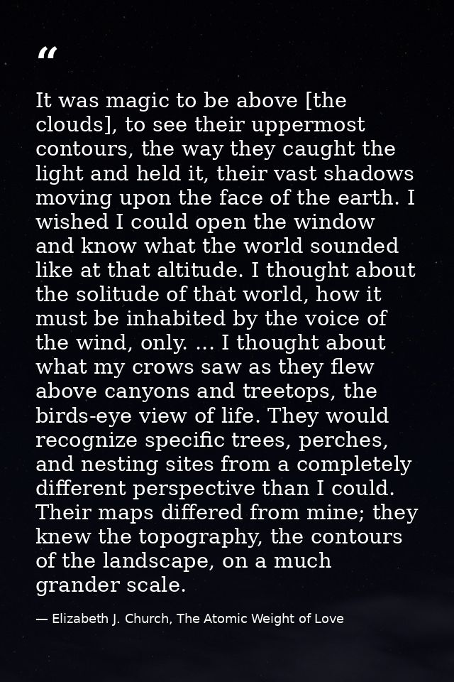It was magic to be above [the clouds], to see their uppermost contours, the way they caught the light and held it, their — Elizabeth J. Church, The Atomic Weight of Love