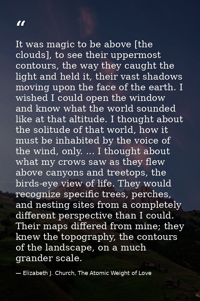 It was magic to be above [the clouds], to see their uppermost contours, the way they caught the light and held it, their — Elizabeth J. Church, The Atomic Weight of Love