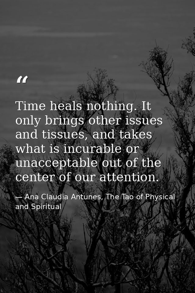 Time heals nothing. It only brings other issues and tissues, and takes what is incurable or unacceptable out of the cent — Ana Claudia Antunes, The Tao of Physical and Spiritual
