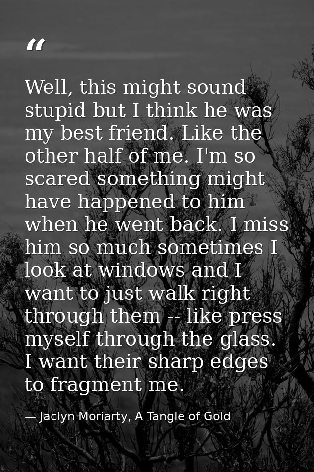 Well, this might sound stupid but I think he was my best friend. Like the other half of me. I'm so scared something migh — Jaclyn Moriarty, A Tangle of Gold
