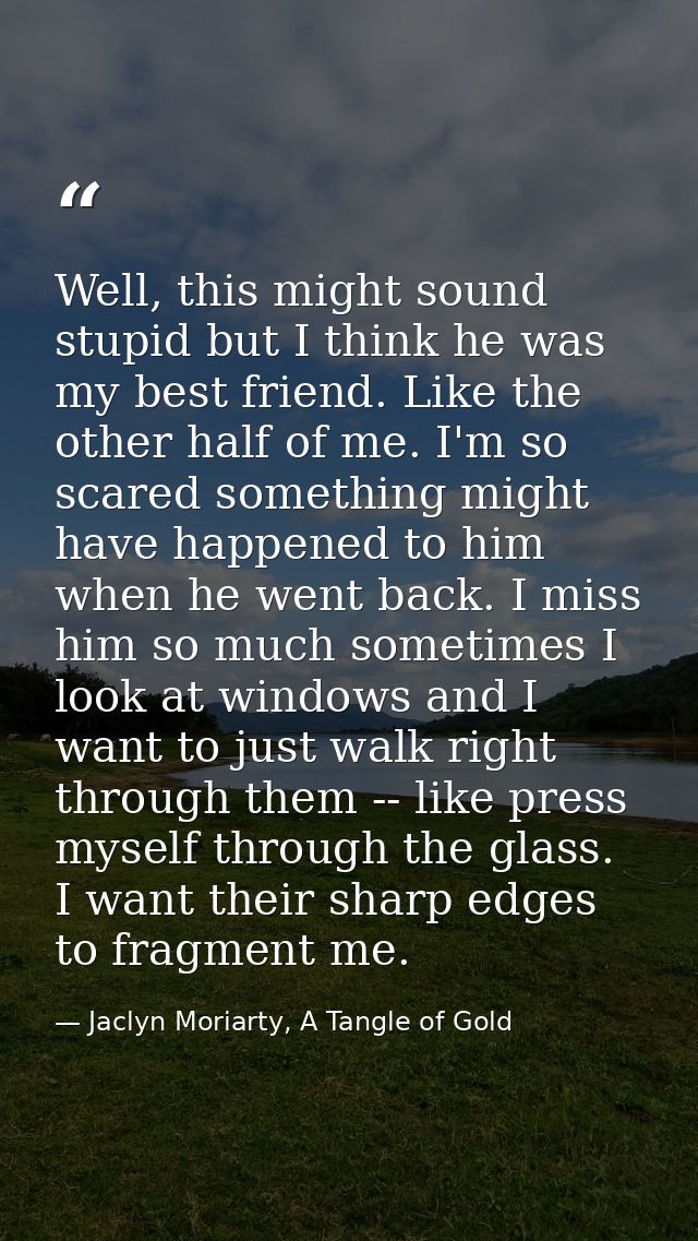 Well, this might sound stupid but I think he was my best friend. Like the other half of me. I'm so scared something migh — Jaclyn Moriarty, A Tangle of Gold