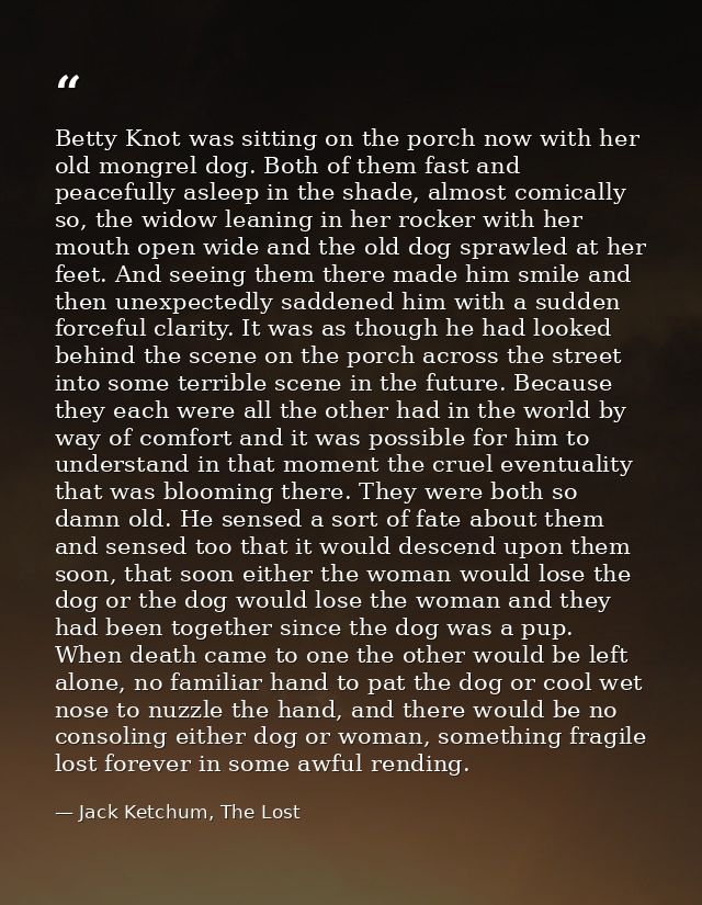 Betty Knot was sitting on the porch now with her old mongrel dog. Both of them fast and peacefully asleep in the shade,  — Jack Ketchum, The Lost