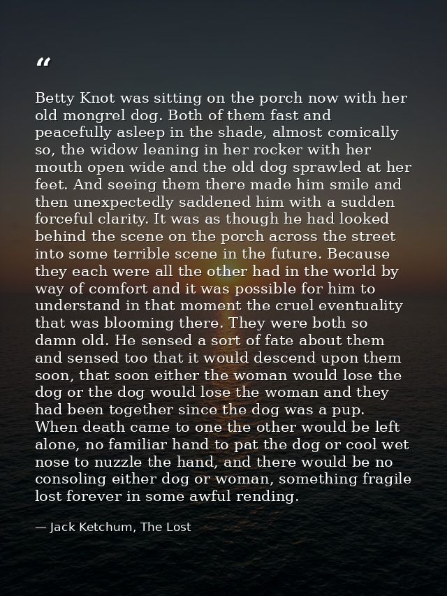 Betty Knot was sitting on the porch now with her old mongrel dog. Both of them fast and peacefully asleep in the shade,  — Jack Ketchum, The Lost