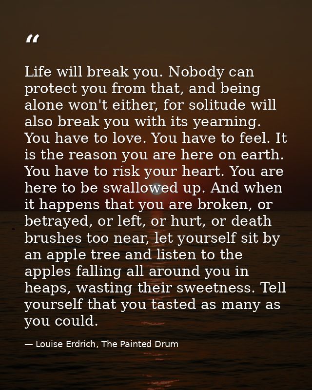 Life will break you. Nobody can protect you from that, and being alone won't either, for solitude will also break you wi — Louise Erdrich, The Painted Drum