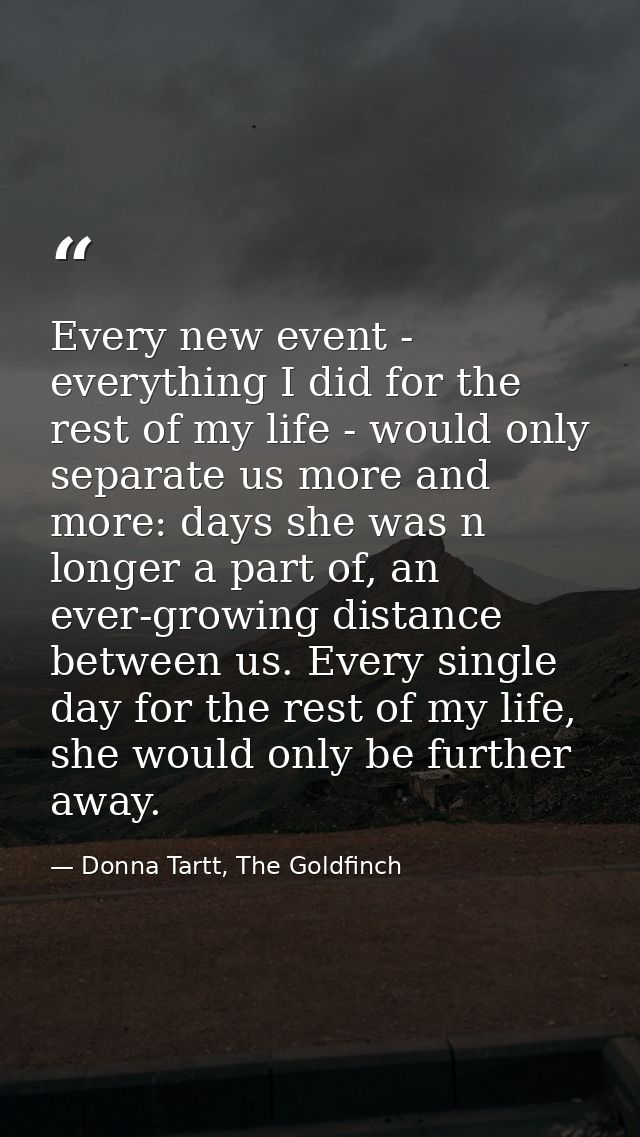 Every new event - everything I did for the rest of my life - would only separate us more and more: days she was n longer — Donna Tartt, The Goldfinch