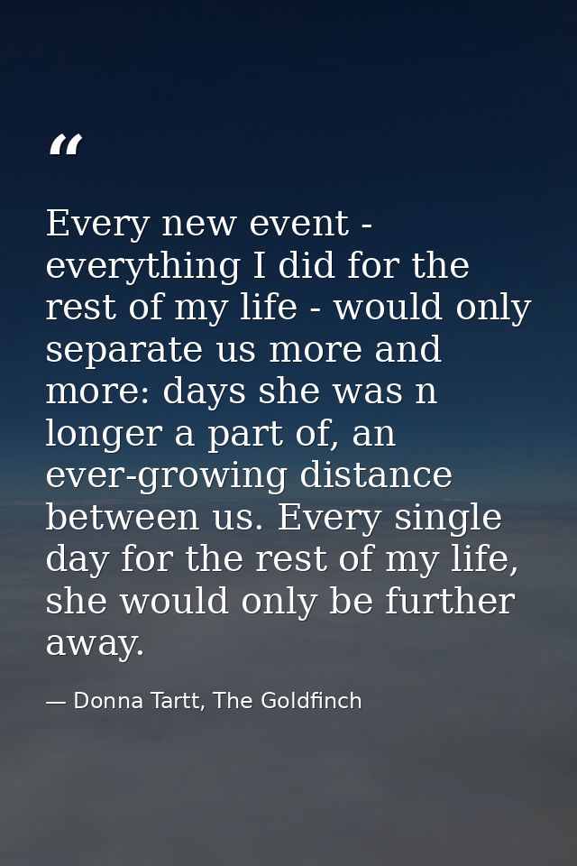 Every new event - everything I did for the rest of my life - would only separate us more and more: days she was n longer — Donna Tartt, The Goldfinch