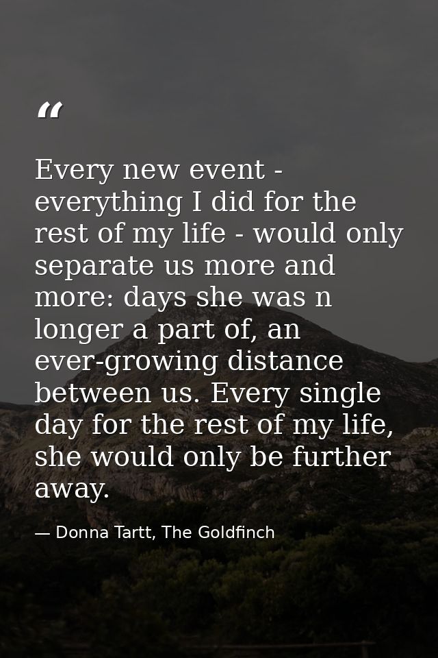 Every new event - everything I did for the rest of my life - would only separate us more and more: days she was n longer — Donna Tartt, The Goldfinch