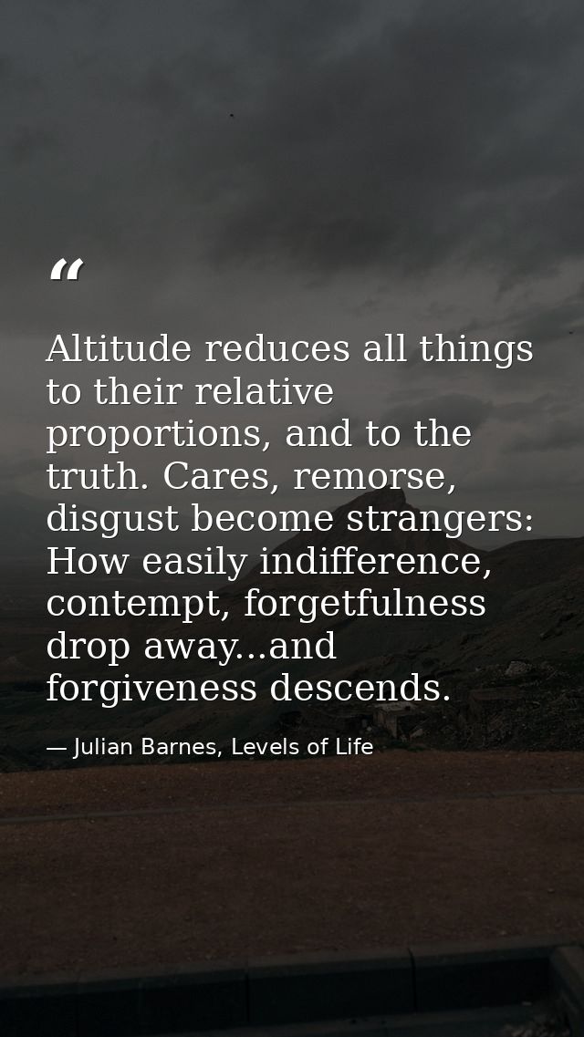 Altitude reduces all things to their relative proportions, and to the truth. Cares, remorse, disgust become strangers: H — Julian Barnes, Levels of Life