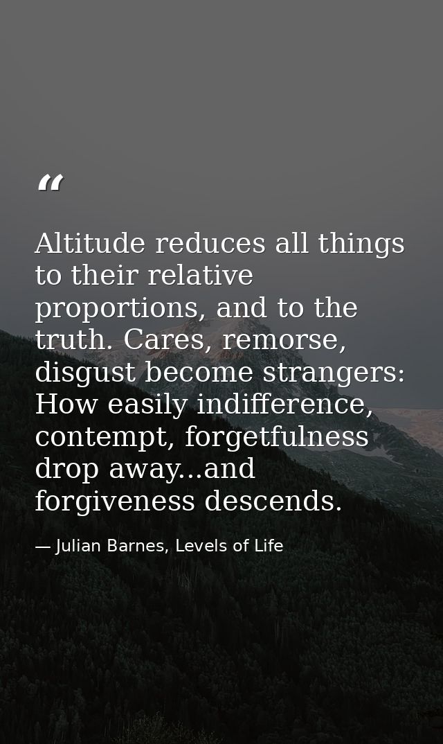 Altitude reduces all things to their relative proportions, and to the truth. Cares, remorse, disgust become strangers: H — Julian Barnes, Levels of Life