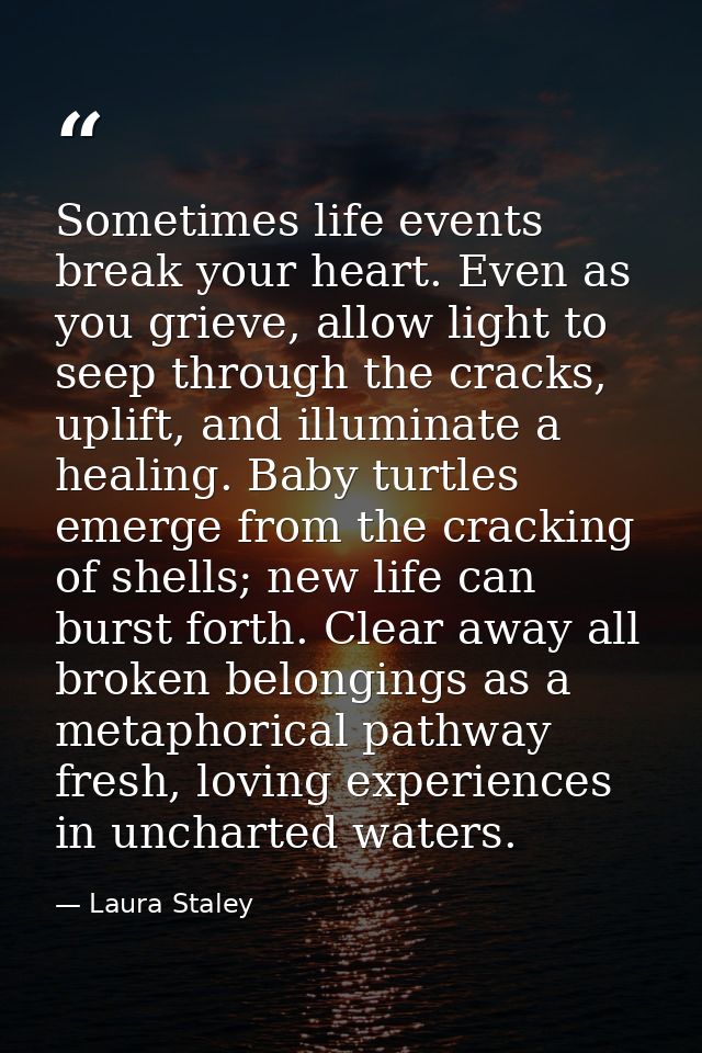 Sometimes life events break your heart. Even as you grieve, allow light to seep through the cracks, uplift, and illumina — Laura Staley