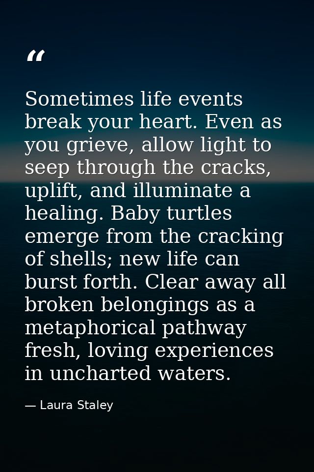 Sometimes life events break your heart. Even as you grieve, allow light to seep through the cracks, uplift, and illumina — Laura Staley