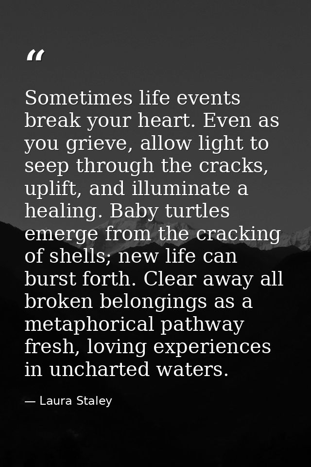 Sometimes life events break your heart. Even as you grieve, allow light to seep through the cracks, uplift, and illumina — Laura Staley