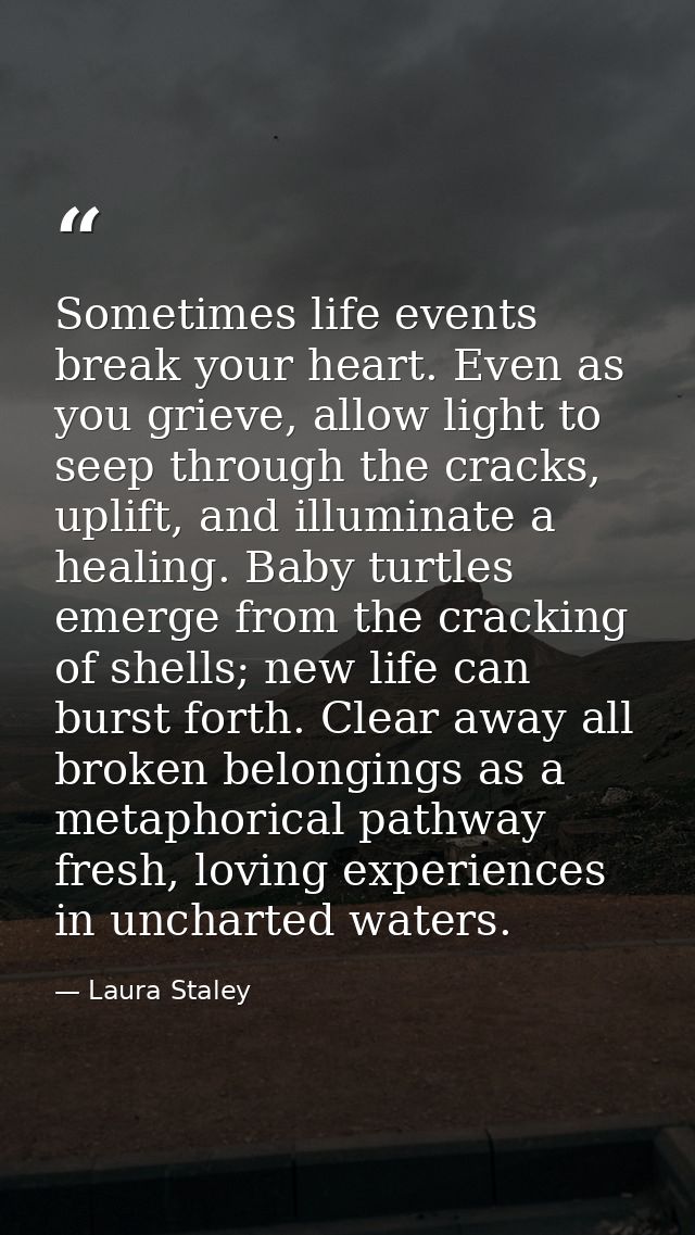 Sometimes life events break your heart. Even as you grieve, allow light to seep through the cracks, uplift, and illumina — Laura Staley