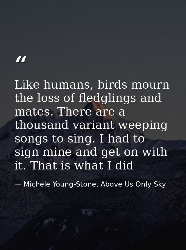 Like humans, birds mourn the loss of fledglings and mates. There are a thousand variant weeping songs to sing. I had to  — Michele Young-Stone, Above Us Only Sky